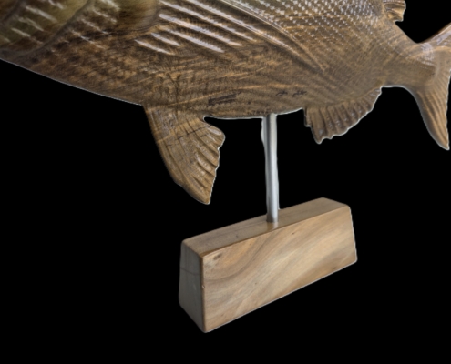snapper trophy 1 belly Snapper-trophy-1-belly
