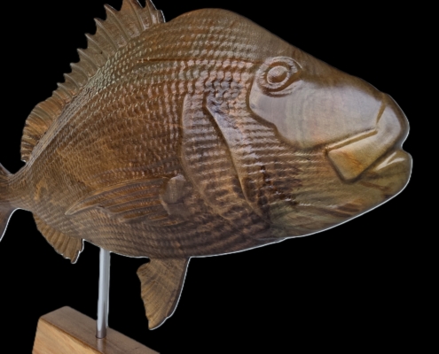snapper trophy 1 front close head