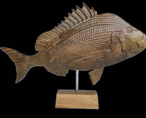 snapper trophy 1 good
