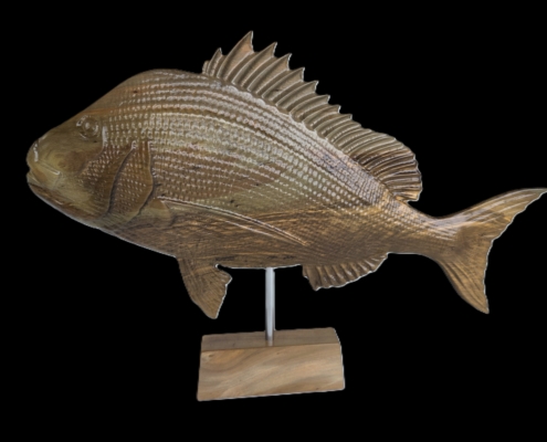 snapper trophy 1 good other