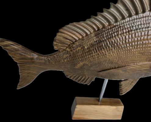 snapper trophy 1 mid back