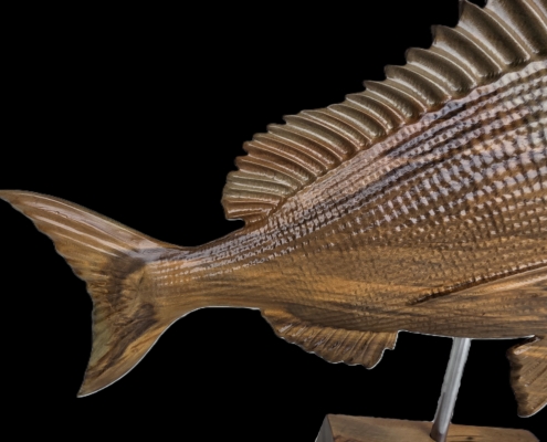 snapper trophy 2 fin back.jpgother