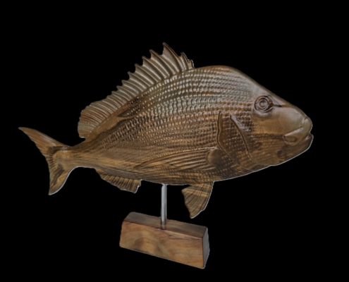 snapper trophy 2 good
