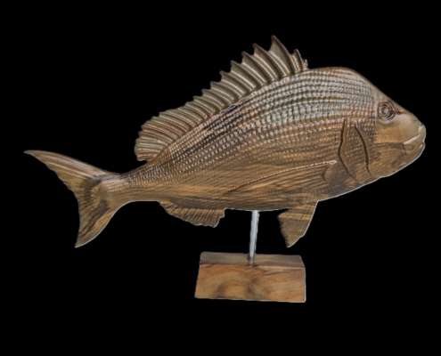 snapper trophy 2 good.jpg 02