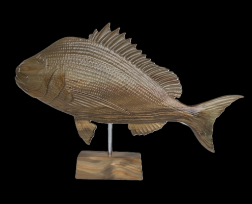 snapper trophy 2 whole
