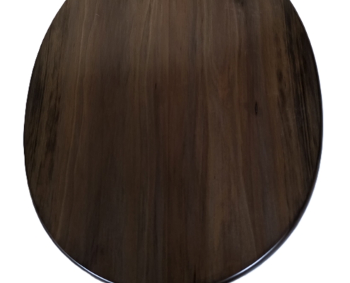 toilet seat dark