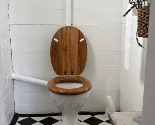 toilet seat nora.jpg02
