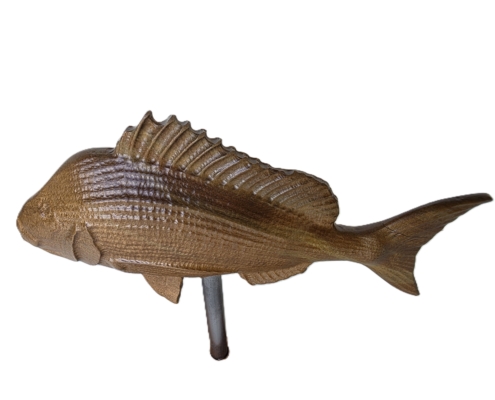 snapper trophy 04