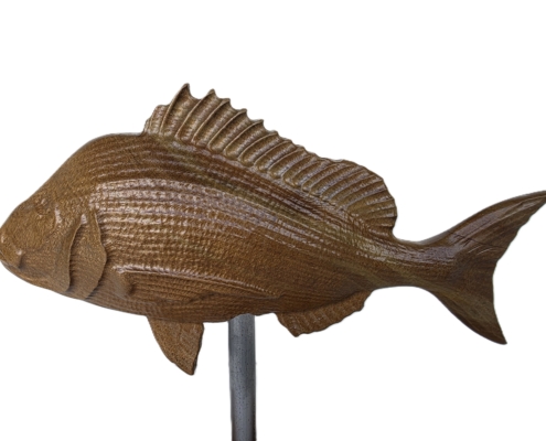 snapper trophy 05