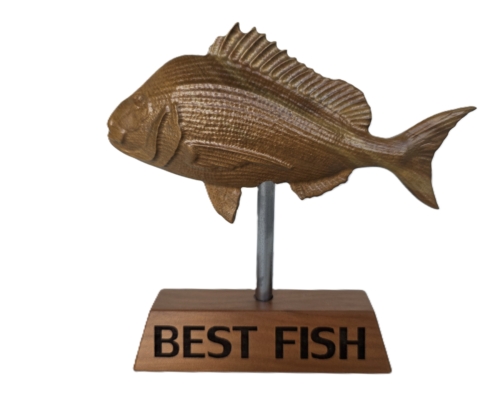 snapper trophy 06