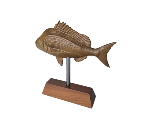 snapper trophy 07