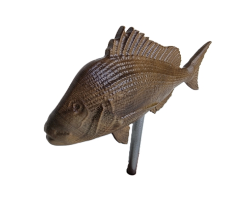 snapper trophy 08