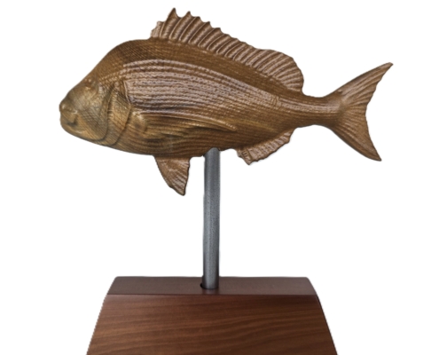 snapper trophy 09