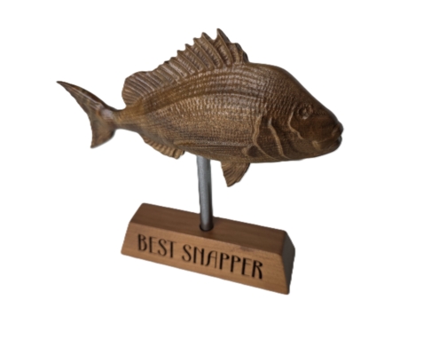 snapper trophy 13