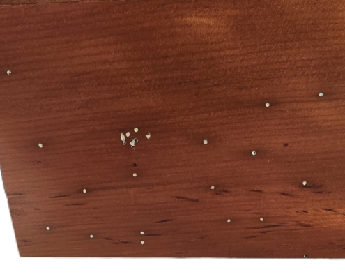 sparking stars side