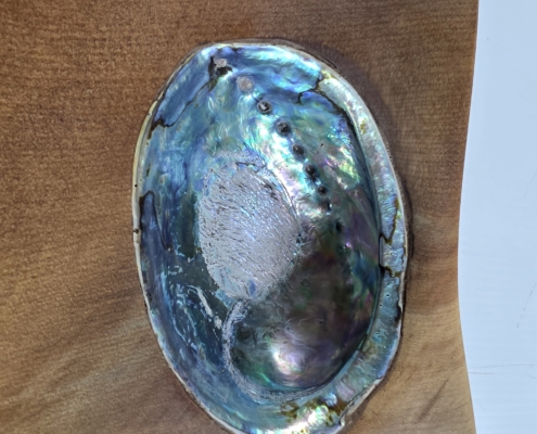 paua inlay board 3 paua close