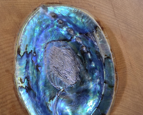 paua inlay board 6 paua close